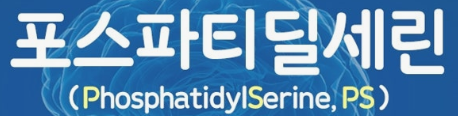 포스파티딜세린 효능 가격 성분 뇌건강 챙기세요! 1
