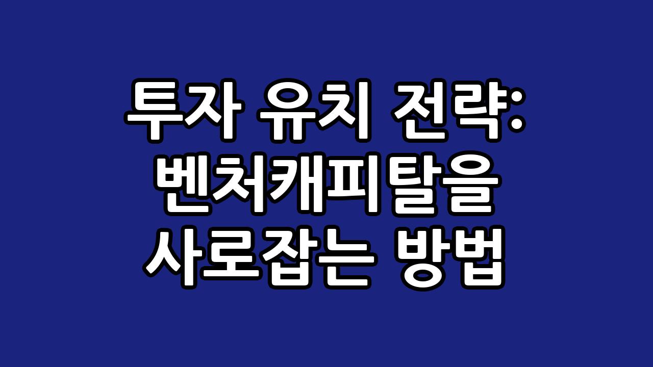 투자 유치 전략: 벤처캐피탈을 사로잡는 방법 1