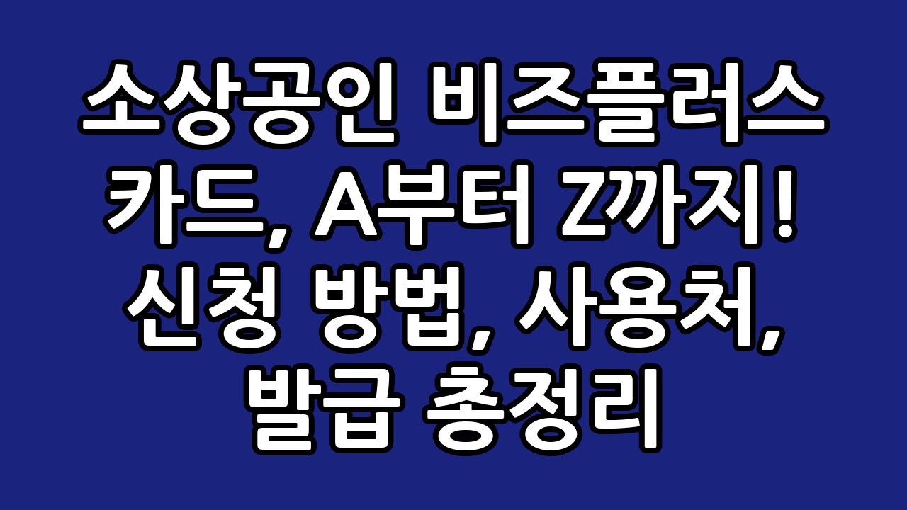 소상공인 비즈플러스 카드, A부터 Z까지! 신청 방법, 사용처, 발급 총정리 1